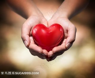 手捧爱心高清图片