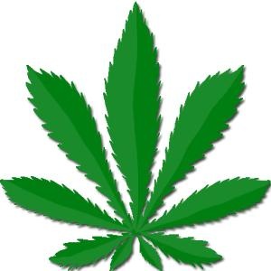 大麻PNG免抠(300x300)