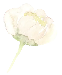 唯美森系手绘水彩花朵 免抠