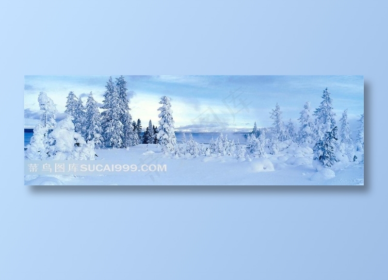 唯美雪景树挂风光风景图片