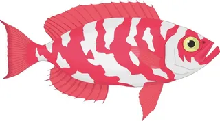 卡通动漫风动画动漫写实素描描摹动物海洋世界鱼15