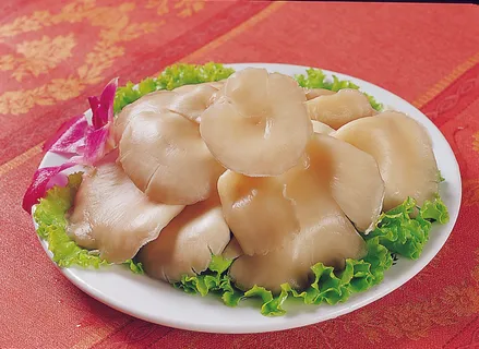 92HG-134平菇 92HG-134平菇