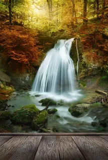 美丽的树林瀑布景色高清风景图片 美丽的树林瀑布景色高清风景图片