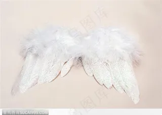 天使羽翼