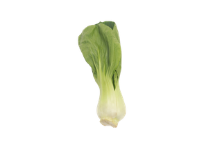 上海青 (9)超市商品白底图免抠实物摄影png格式图片透明底