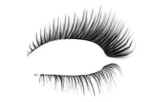 睫毛 PNG免抠(300x200)