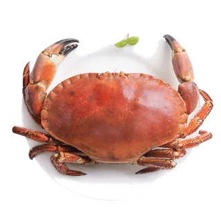 面包蟹海鲜超市商品红酒白底图免抠实物摄影png格式图片透明底