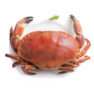 面包蟹海鲜超市商品红酒白底图免抠实物摄影png格式图片透明底