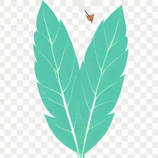 2片叶子手绘卡通png免抠