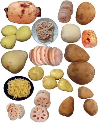 藕和土豆免抠摄影元素素材