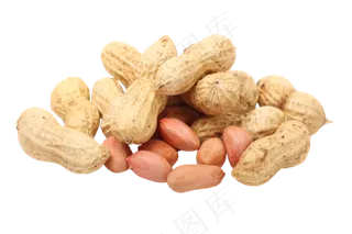 免扣png花生  