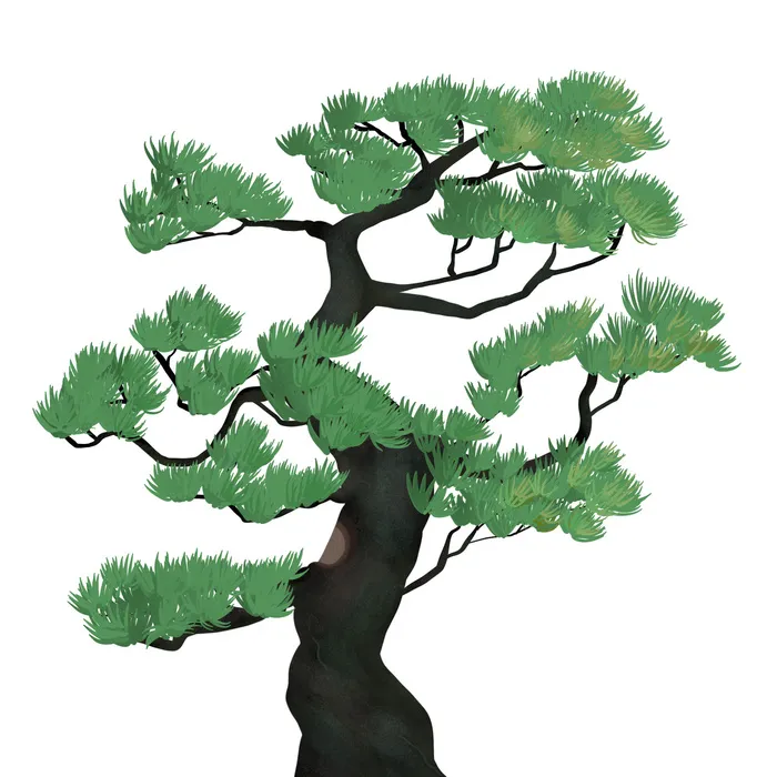 国潮风松树松枝松柏树木手绘植物装饰图案元素PSD设计素材psd模版下载