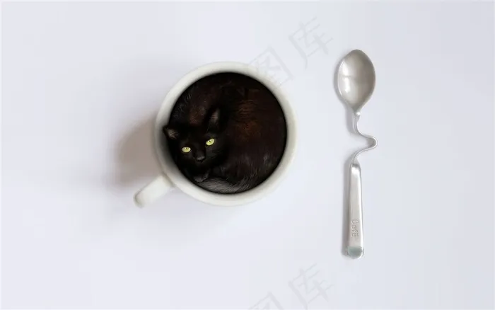猫眼咖啡创意广告设计