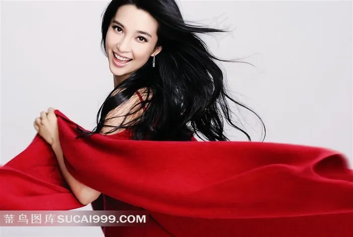中国著名女演员明星-李冰冰