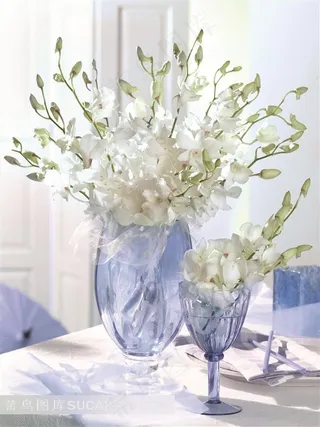 家居花瓶里的蝴蝶兰静物摆设