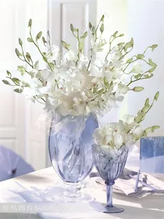 家居花瓶里的蝴蝶兰静物摆设 家居花瓶里的蝴蝶兰静物摆设