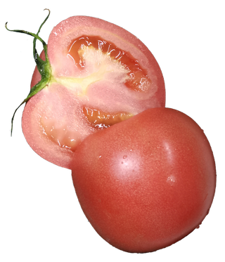 粉红色番茄切开带叶片免抠元素实物摄影素材