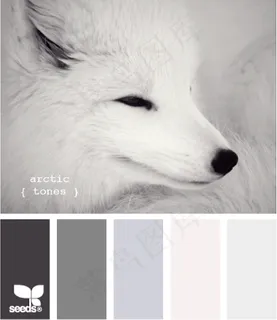 动物配色色卡色彩搭配