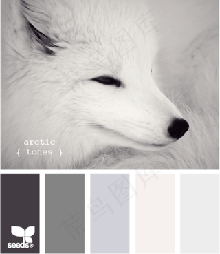 动物配色色卡色彩搭配