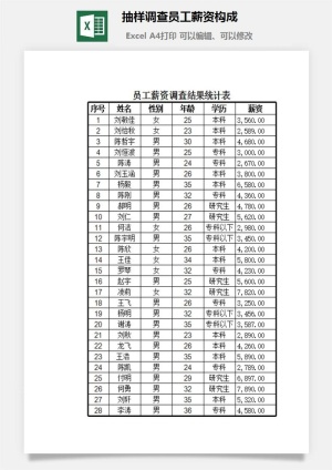 抽样调查员工薪资构成excel模板