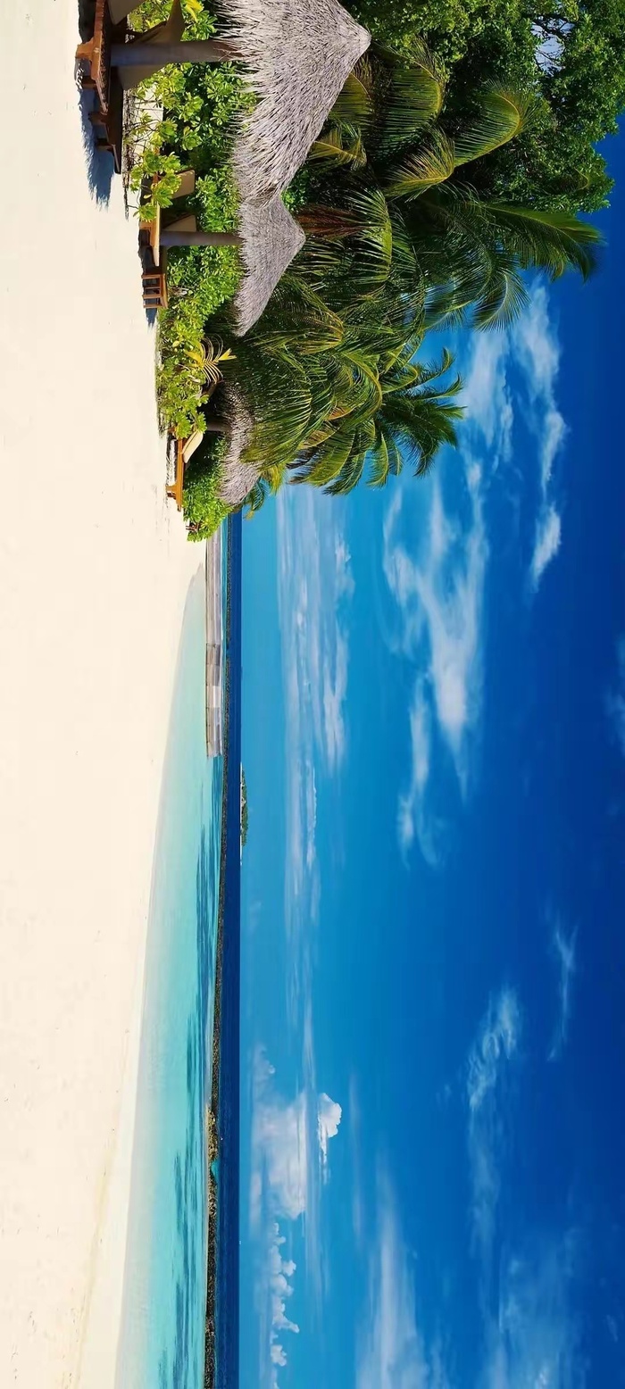 阳光海滩风景图