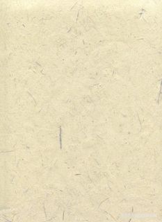 浅杏色复古古典古风高清纸纹素材背景图片