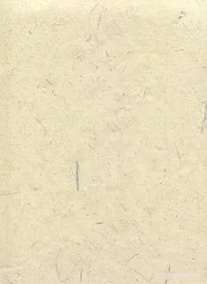 浅杏色复古古典古风高清纸纹素材背景图片