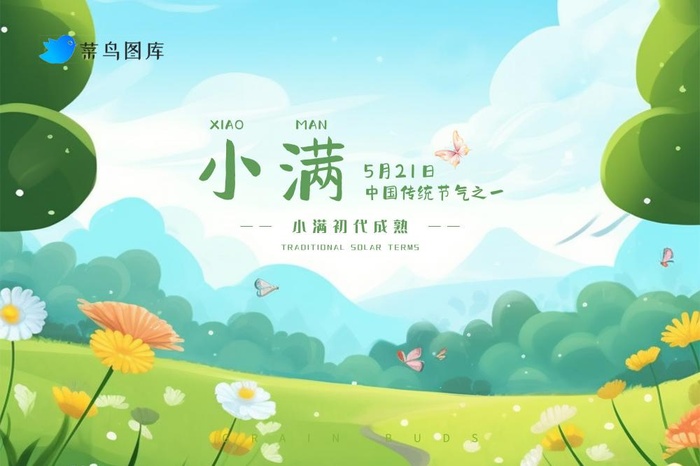 小满节气清新草地花朵插画banner(3000x2000)psd模版下载