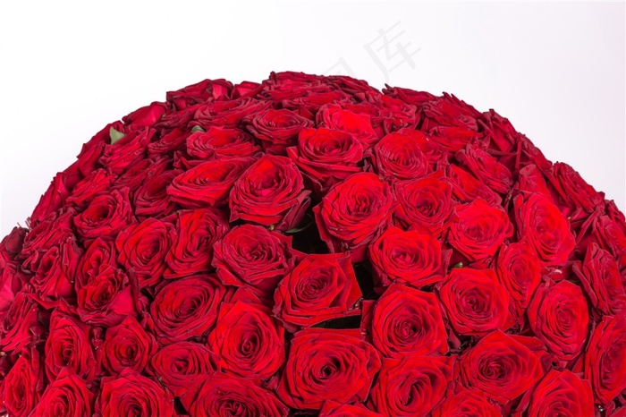 红色玫瑰花球图片