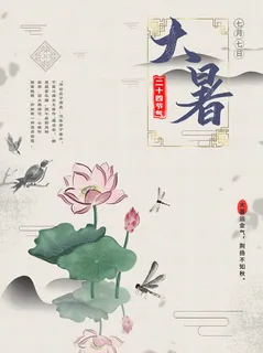 传统节日大暑海报