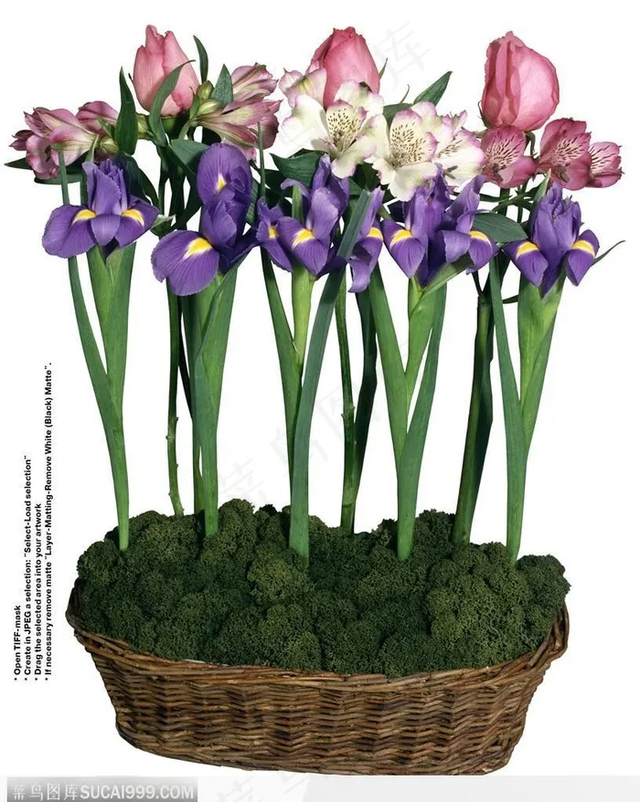 情人节花物语-插在竹篮里的花朵