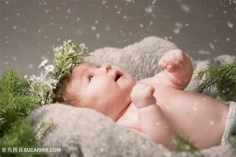 温馨家庭可爱宝宝 温馨家庭可爱宝宝