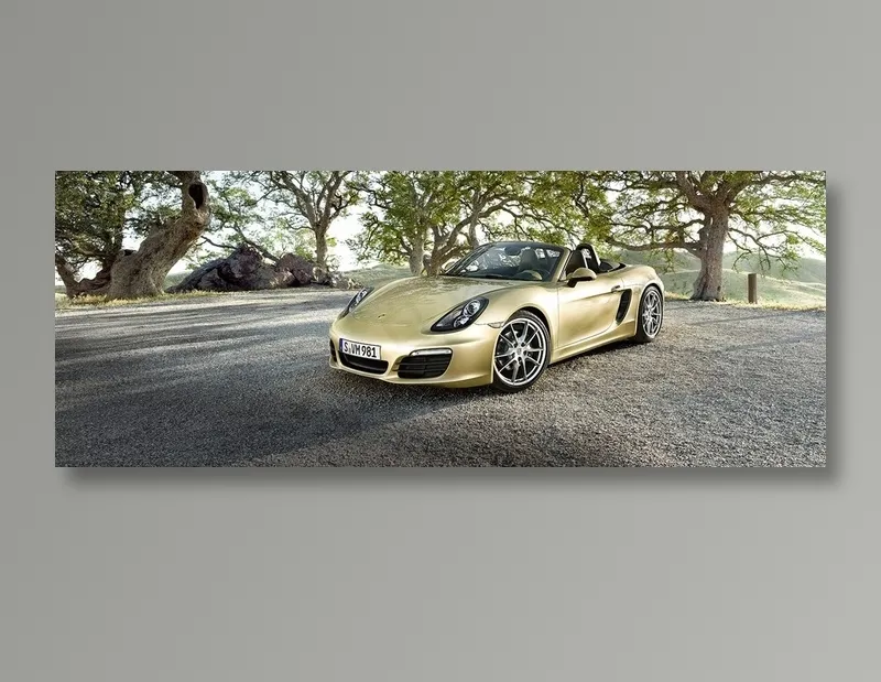 炫酷保时捷土豪金跑车摄影图