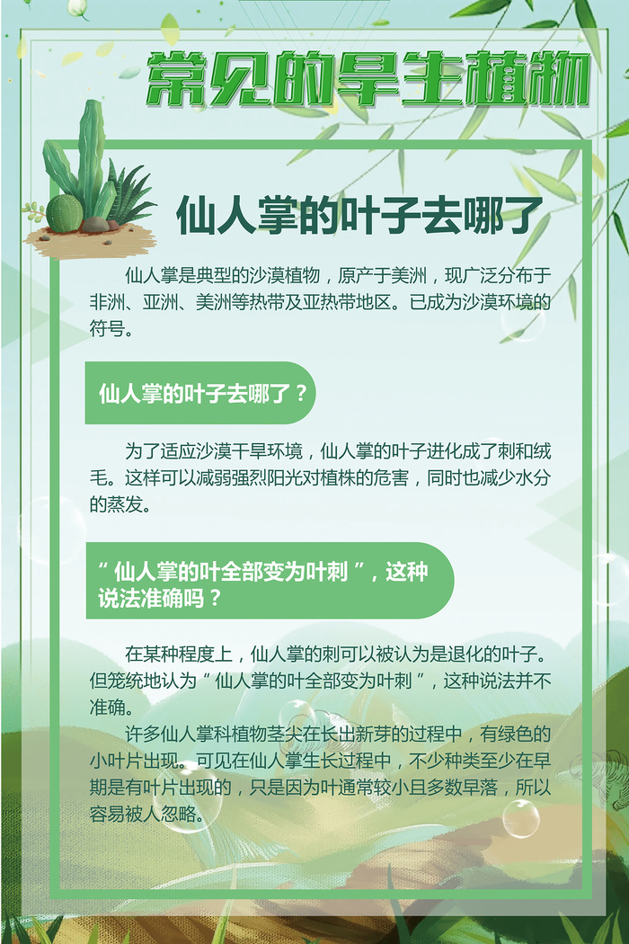 绿色常见的旱生植物psd模版下载