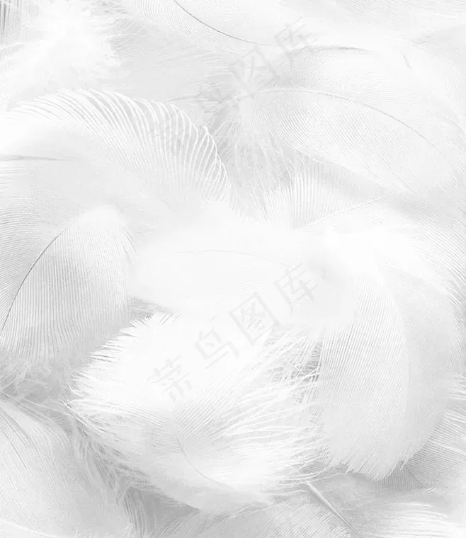 羽毛素材背景图.png