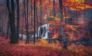 唯美林间瀑布景色图