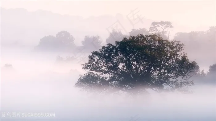 湖畔美景壁纸