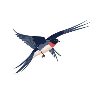 燕子动物装饰元素