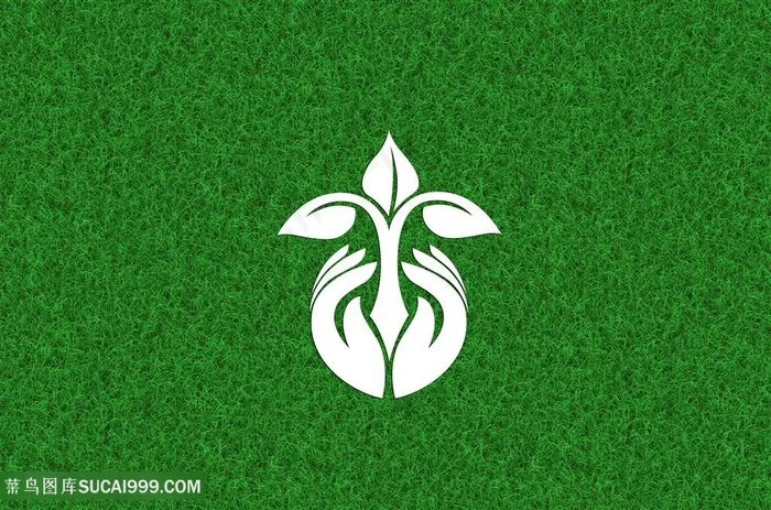 公园里的草坪