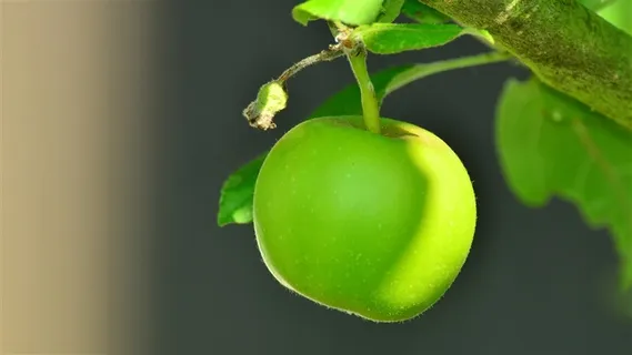 唯美新鲜的水果图片 唯美新鲜的水果图片