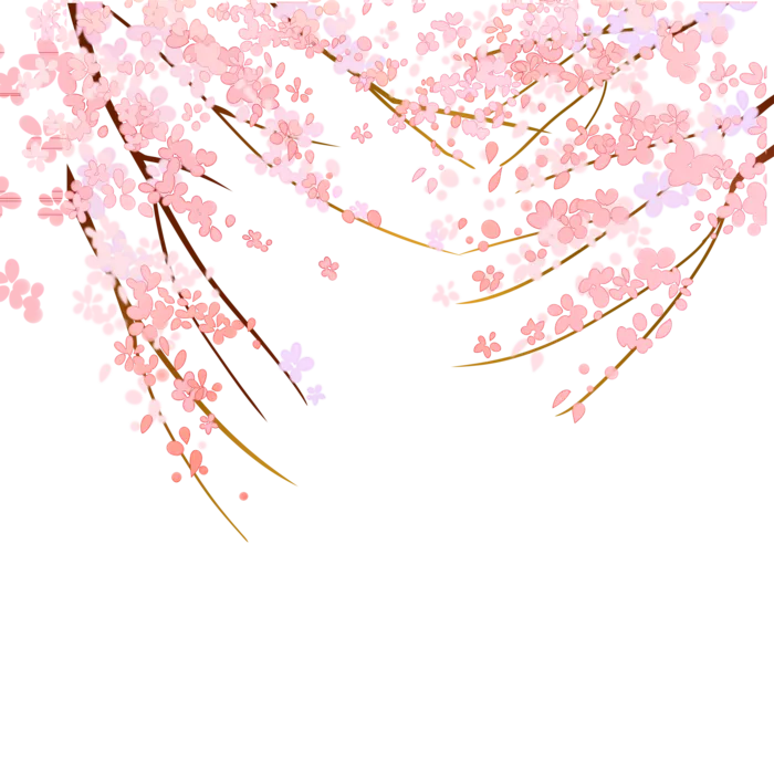 春天浪漫粉红色樱花手绘樱花梅花桃花花朵图片PNG免扣素材