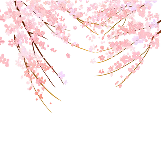 春天浪漫粉红色樱花手绘樱花梅花桃花花朵图片PNG免扣素材