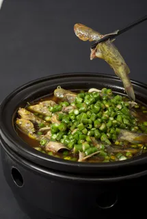 鲜椒黄辣丁58 鲜椒黄辣丁58