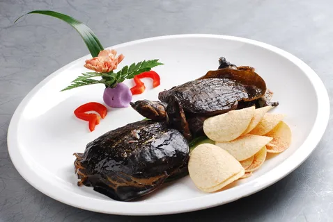 LCH1807薯香甲鱼仔 LCH1807薯香甲鱼仔