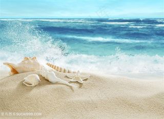 夏季海滩唯美景色高清图片