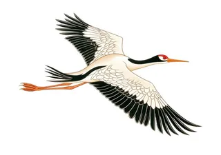 国潮插画白鹤鸟