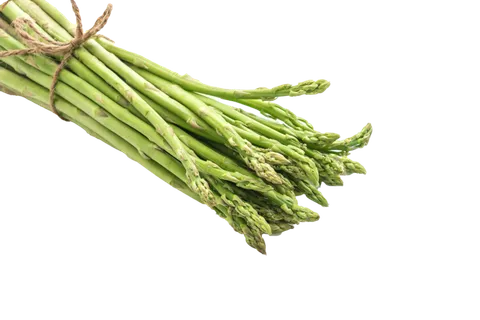 芦笋 (6)超市商品白底图免抠实物摄影png格式图片透明底