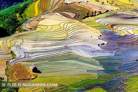 山坡上的田地 山坡上的田地