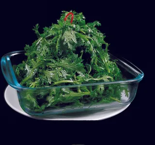 LCSC2511生拌茼蒿 1