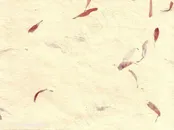 鲜花花瓣纸张横板中式斑驳纸纹背景图片